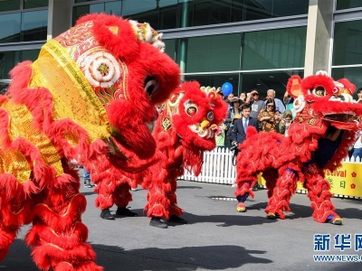 新西(xī)蘭總理參加當地華人賀鼠年(nián)新春活動