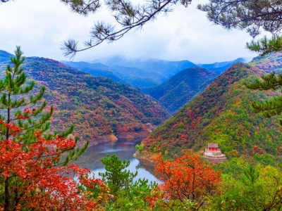 山西(xī)平陸縣大河廟：層林盡染 秋季風景美如畫(huà)